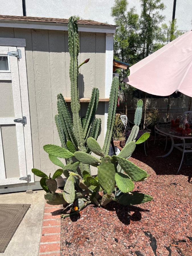 Quarto em Acomodações Particulares Private Angeles - Free Wifi, Ac, Tv, Private Fridge, Kitchen, Near Usc - Exposition Park - Usc Memorial Coliseum - Banc Of California Bmo Stadium - Downtown Angeles Dtla - Of Southern California Usc!!! *